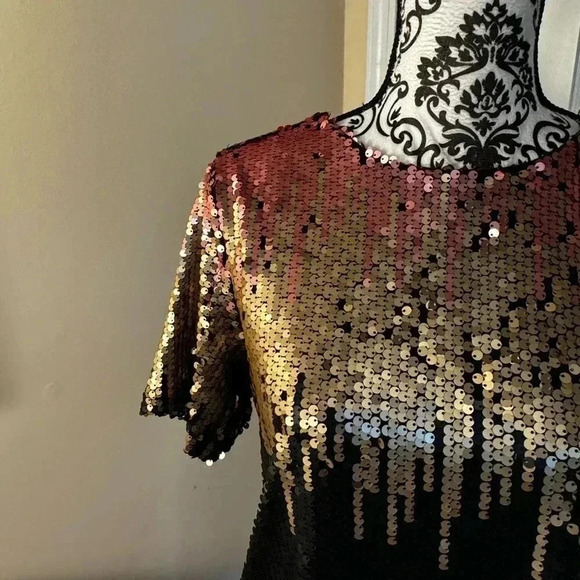 Ombré Sequined Dress - Picture 2 of 9